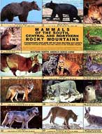 Color picture of Mammals of the South, Central and Northern Rocky Mountains front page.