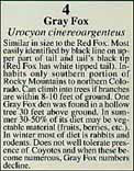 Close-up view of Gray Fox text block.