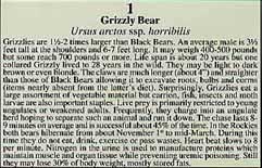 Close-up view of Grizzly Bear text block.