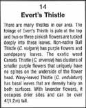 Close-up view of Evert's Thistle text block.