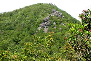 Sharp Top Mountain, Peaks of Otter, Blue Ridge Parkway.