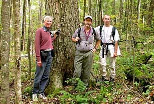 Rick Seavey, Tom Govus and Rickie White beside old growth yellow birch in Blue Ridge Parkway.