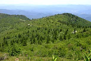 View of Blue Ridge Parkway from Forest Service land.