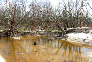 Wind and surf dredged hole on Cape Sable, Everglades National Park after 2005 hurricanes.