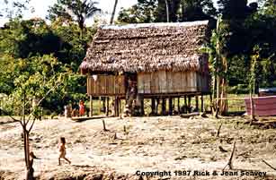 Typical house of native peoples near Project Amazonas, Peru.