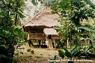 Land housing unit at Project Amazonas Madre Selva Biological Station, Peru.