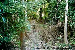 Path to land housing unit at Project Amazonas Madre Selva Biological Station, Peru.