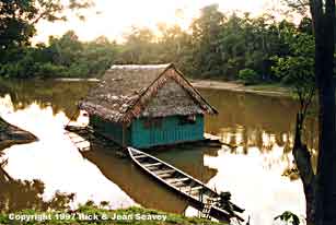 Close-up of Project Amazonas Madre Selva Biological Field Station raft on the Rio Orosa in Peru.