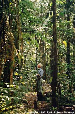 Rick Seavey in Project Amazonas rain forest.